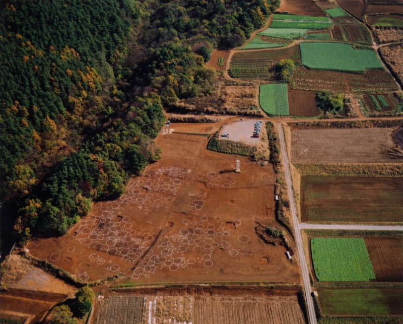 Umenoki site