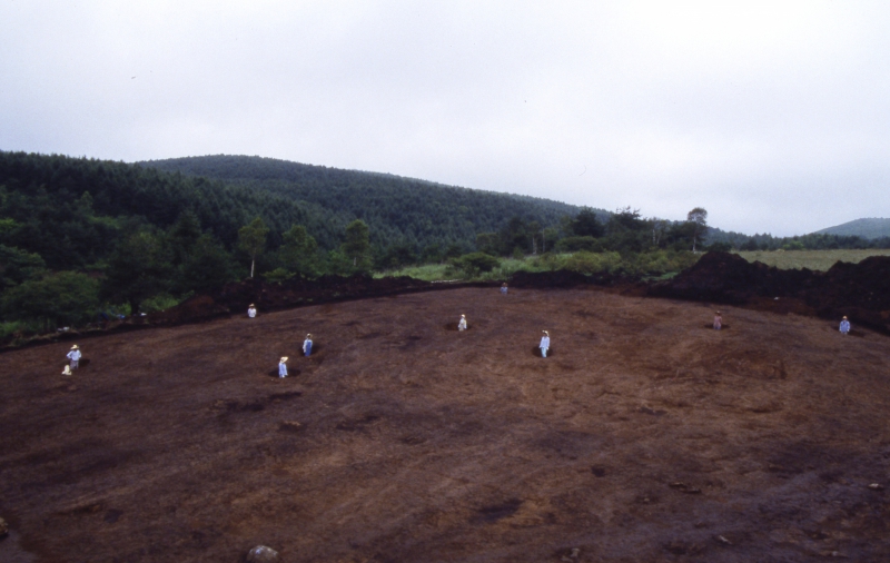 Groupe de sites de Jyakoppara